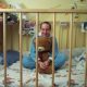 A Man Sitting Inside Baby Cot along with teddy bear